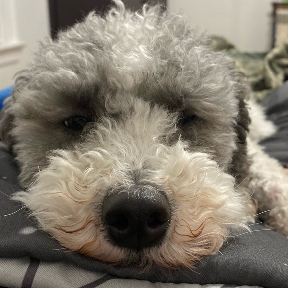 Meet your Posher, Erin - Picture 1 of 1